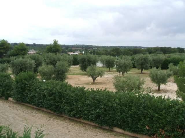 Locazione Turistica Green Park 马丁纳弗兰卡 外观 照片